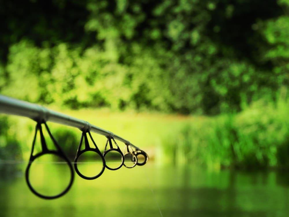 Pesca en Mendoza: Ríos, Embalses y Capturas